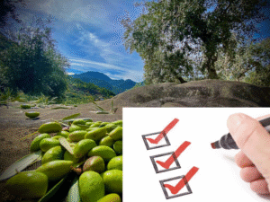 Test aceite de Oliva