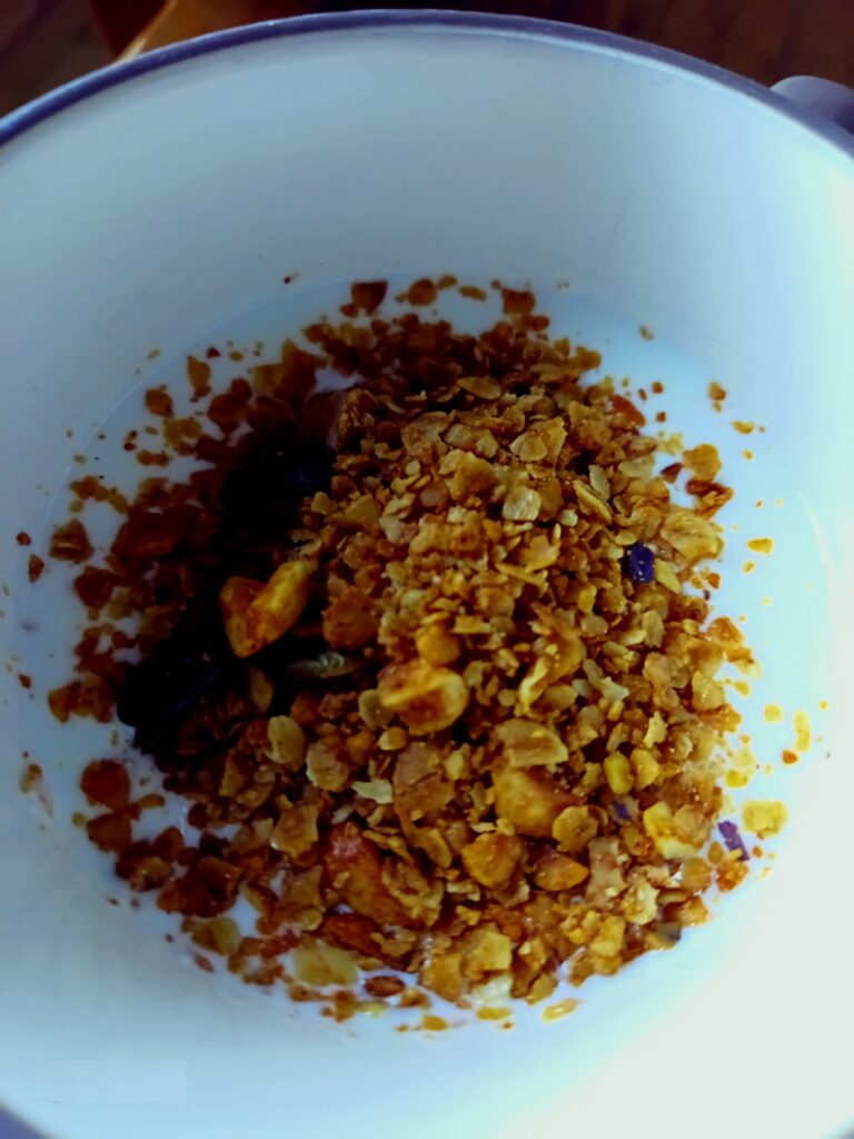 Granola Casera